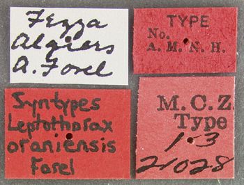 Media type: image; Entomology 21028   Aspect: labels